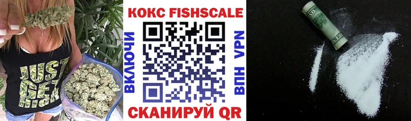 что такое Кондрово Cocaine Fish Scale