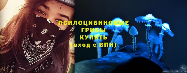 первитин Богородск