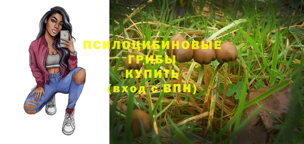 первитин Богородск
