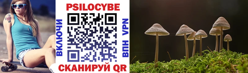 ссылка на мегу как войти  где найти   Кондрово  Галлюциногенные грибы Magic Shrooms 